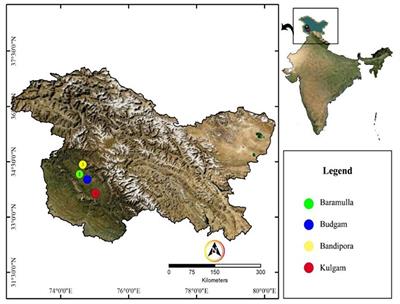 Multifarious Indigenous Diazotrophic Rhizobacteria of Rice (Oryza sativa L.) Rhizosphere and Their Effect on Plant Growth Promotion